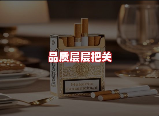 专业团队